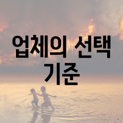 업체의 선택 기준