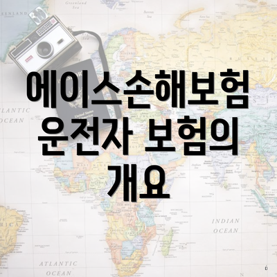 에이스손해보험 운전자 보험의 개요