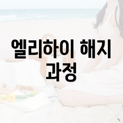 엘리하이 해지 과정