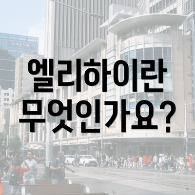 엘리하이란 무엇인가요?