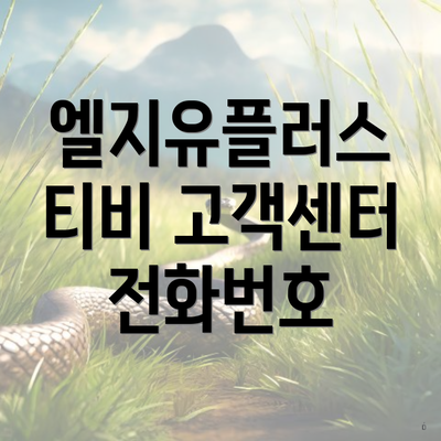 엘지유플러스 티비 고객센터 전화번호