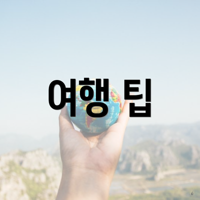 여행 팁