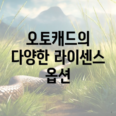 오토캐드의 다양한 라이센스 옵션