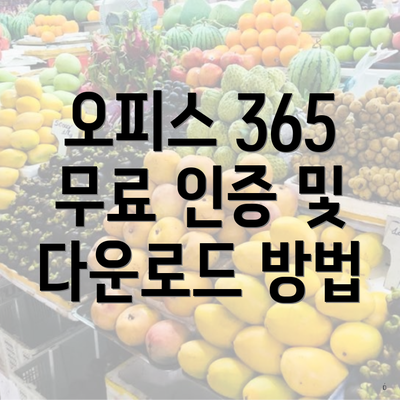 오피스 365 무료 인증 및 다운로드 방법
