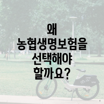 왜 농협생명보험을 선택해야 할까요?