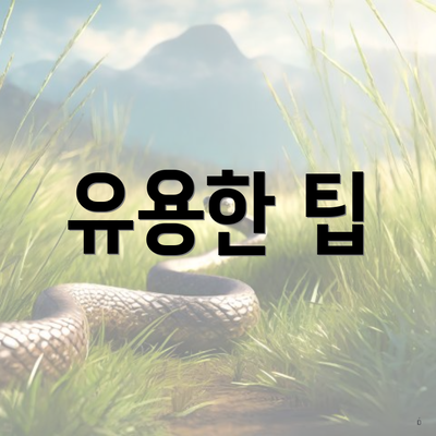 유용한 팁