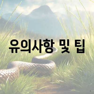 유의사항 및 팁