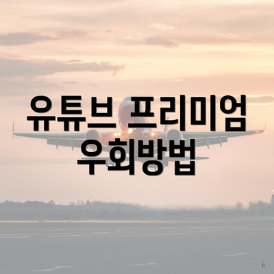 유튜브 프리미엄 우회방법