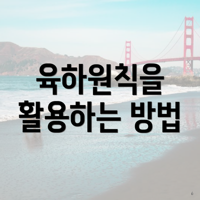 육하원칙을 활용하는 방법