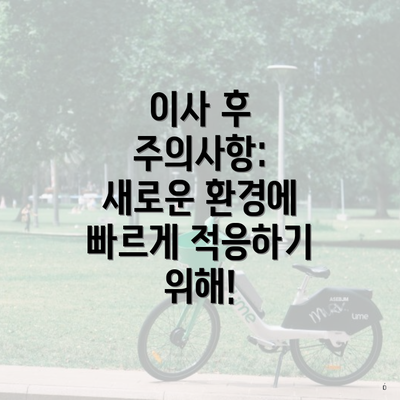 이사 후 주의사항: 새로운 환경에 빠르게 적응하기 위해!