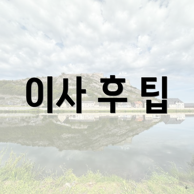 이사 후 팁