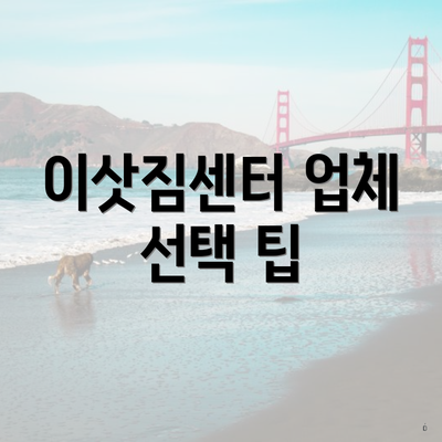 이삿짐센터 업체 선택 팁