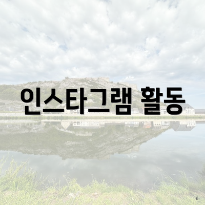 인스타그램 활동