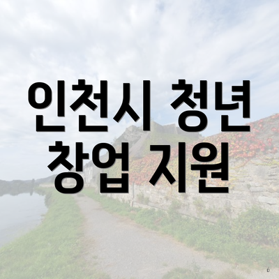 인천시 청년 창업 지원