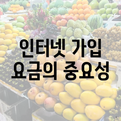 인터넷 가입 요금의 중요성