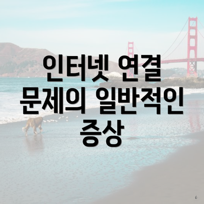 인터넷 연결 문제의 일반적인 증상