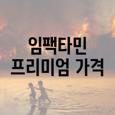 임팩타민 프리미엄 가격