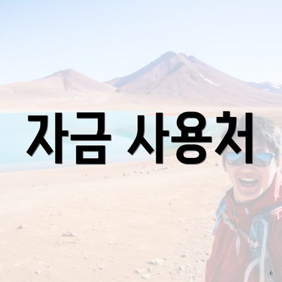 자금 사용처