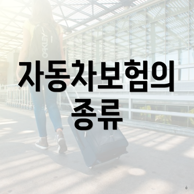 자동차보험의 종류