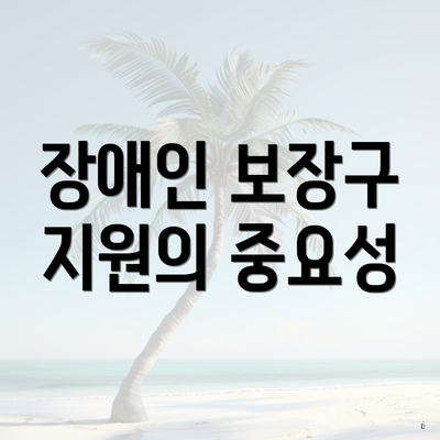 장애인 보장구 지원의 중요성