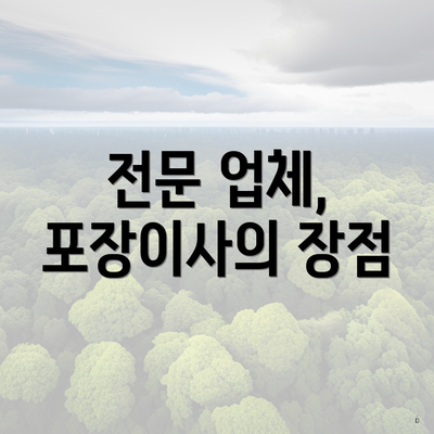 전문 업체, 포장이사의 장점