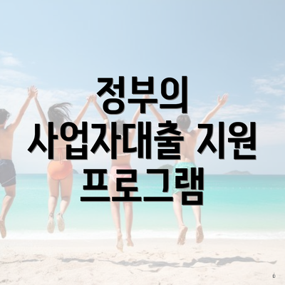 정부의 사업자대출 지원 프로그램
