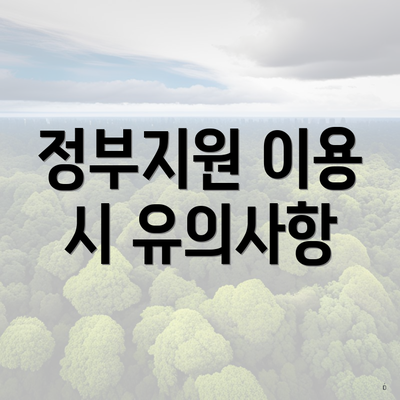 정부지원 이용 시 유의사항