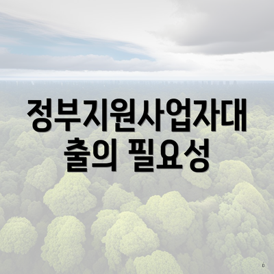 정부지원사업자대출의 필요성