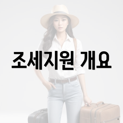 조세지원 개요