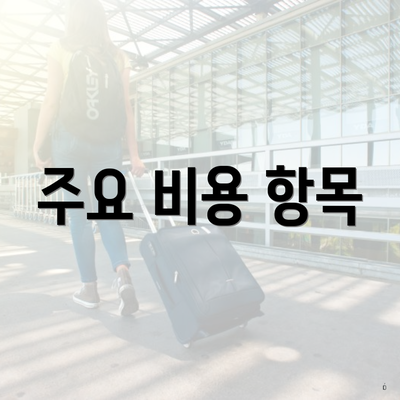 주요 비용 항목