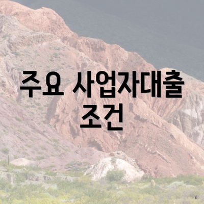 주요 사업자대출 조건