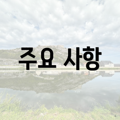 주요 사항
