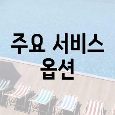 주요 서비스 옵션