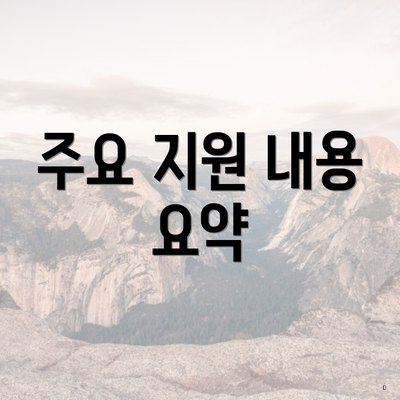 주요 지원 내용 요약