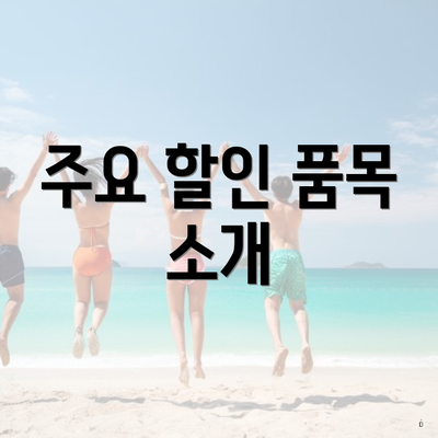 주요 할인 품목 소개