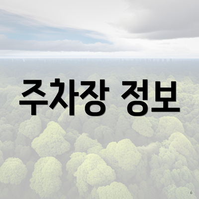 주차장 정보
