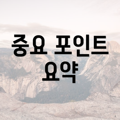 중요 포인트 요약