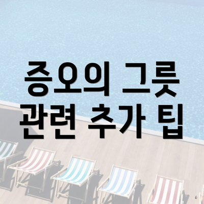 증오의 그릇 관련 추가 팁