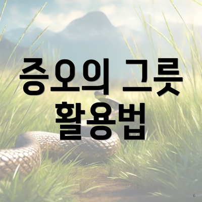 증오의 그릇 활용법