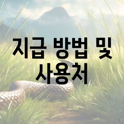 지급 방법 및 사용처