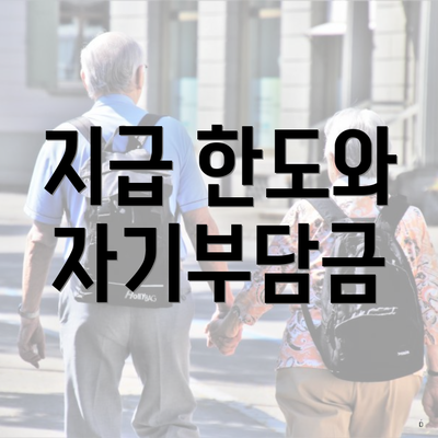 지급 한도와 자기부담금