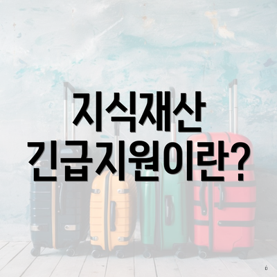 지식재산 긴급지원이란?