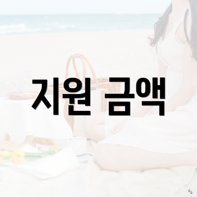 지원 금액
