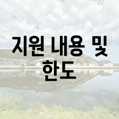 지원 내용 및 한도