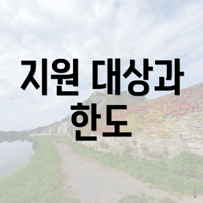 지원 대상과 한도