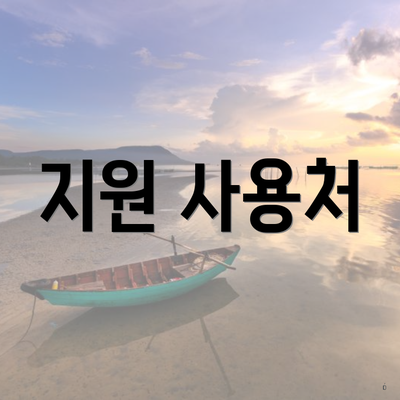 지원 사용처