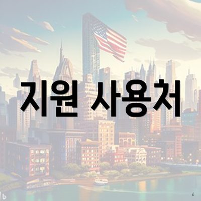 지원 사용처