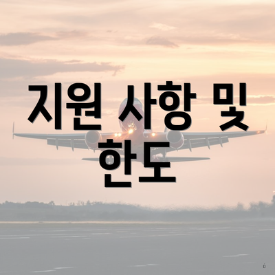 지원 사항 및 한도