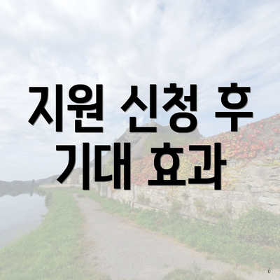 지원 신청 후 기대 효과