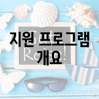 지원 프로그램 개요
